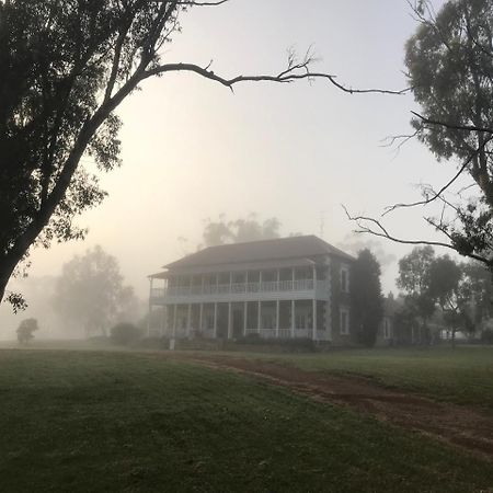 Dempster Cottage Irishtown Екстериор снимка